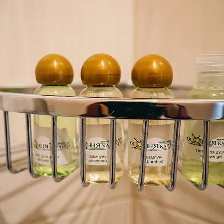 Otel Osonnya Karpaty 4* Skhidnytsia