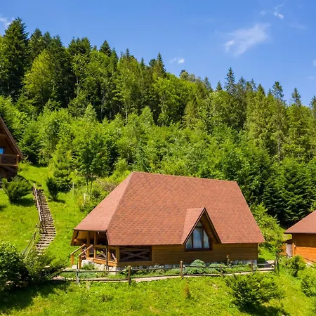Osonnya Karpaty 4* Otel Skhidnytsia