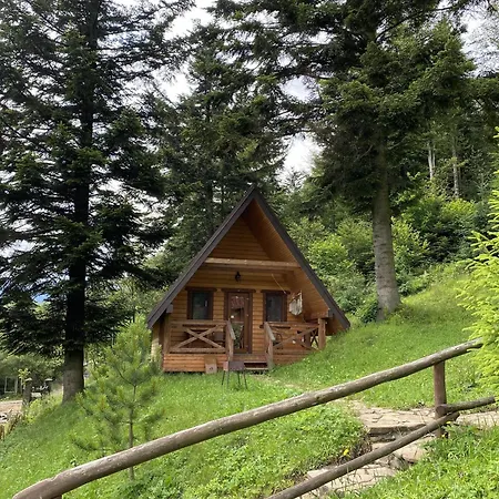 Osonnya Karpaty 4* *