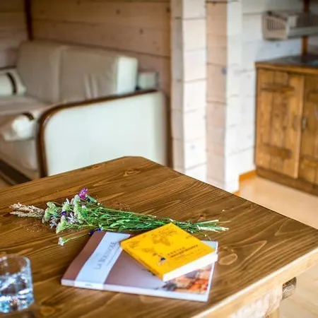 Otel Osonnya Karpaty 4* Skhidnytsia