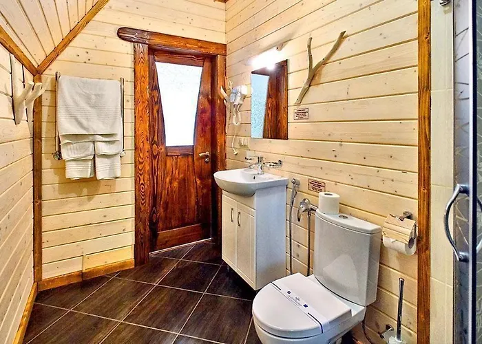 Otel Osonnya Karpaty 4* Skhidnytsia