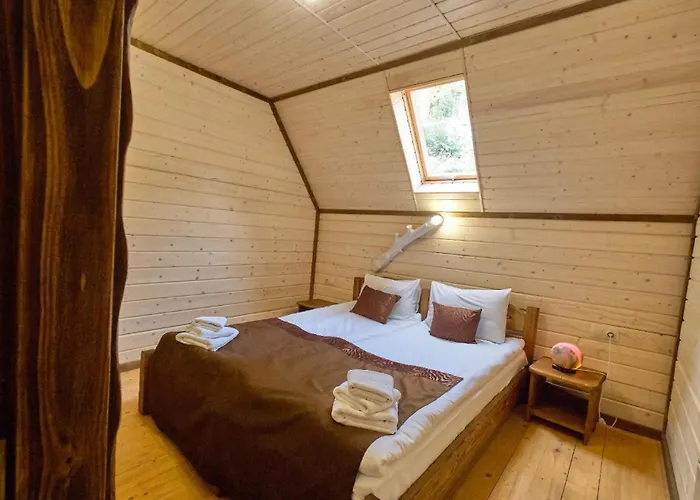 Osonnya Karpaty 4*