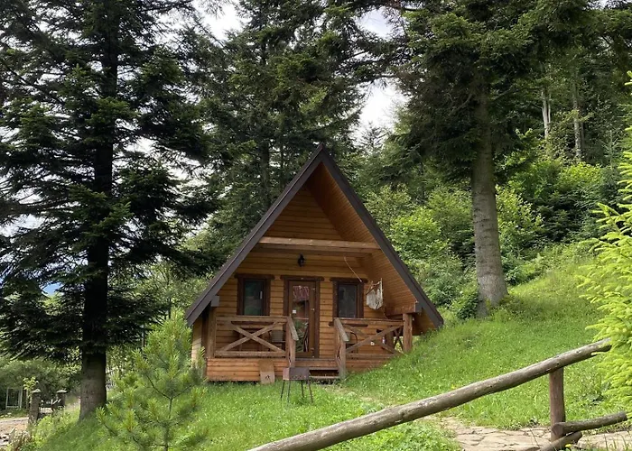 Osonnya Karpaty 4* *