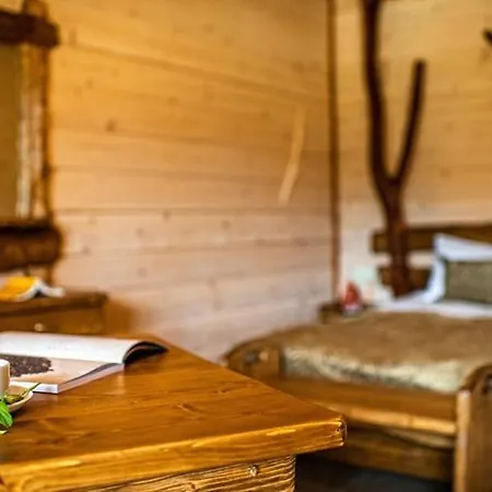 Osonnya Karpaty 4* Otel Skhidnytsia
