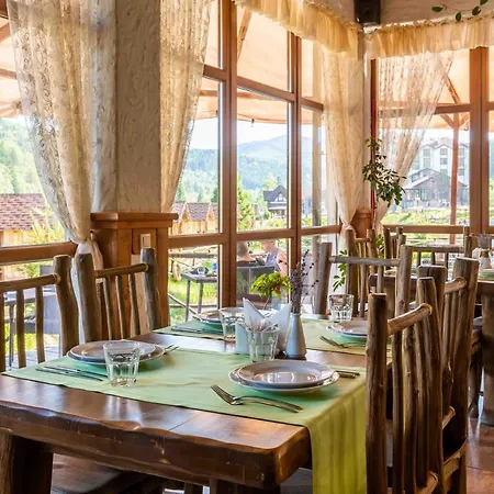 Отель Osonnya Karpaty 4* Сходница
