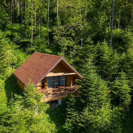Osonnya Karpaty 4*