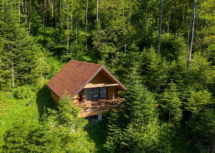 Osonnya Karpaty 4*